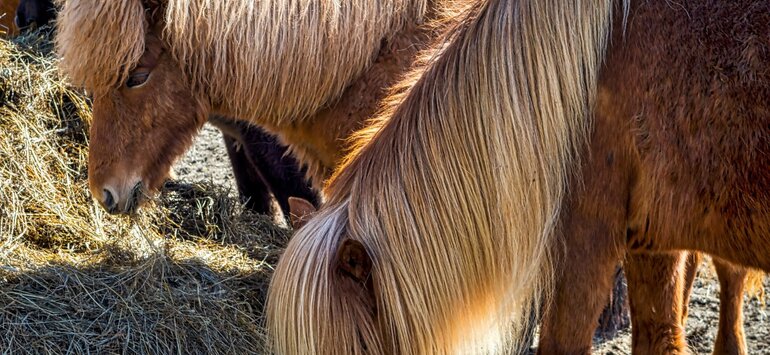 Hair & Fibres - Which to use?